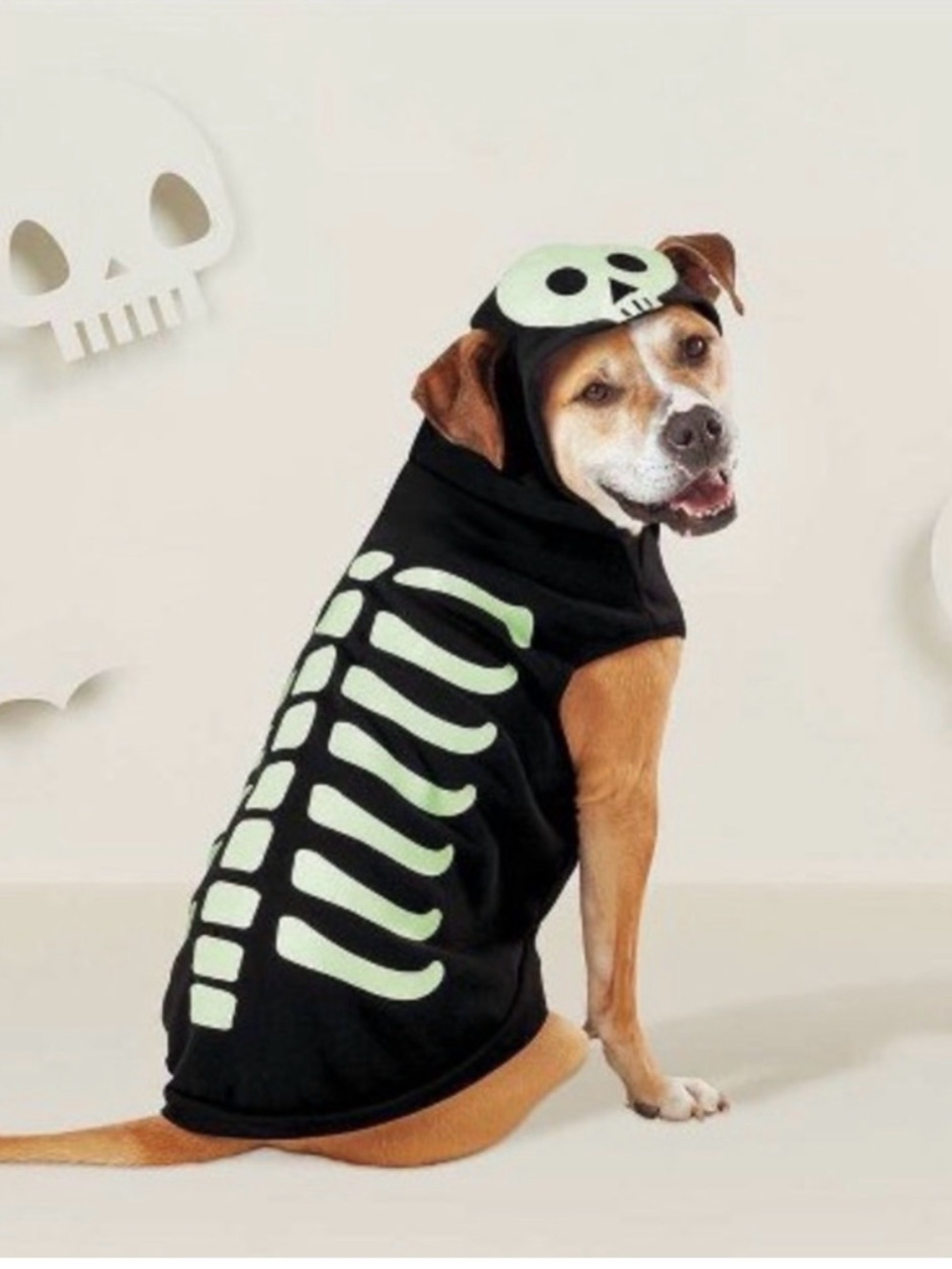 Hyde and EEK! Boutique Glow-In-The-Dark Skeleton Dog Costume - Size XL